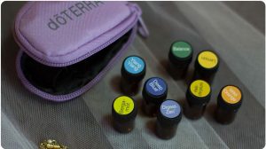 doterra-keychain-carrying-case