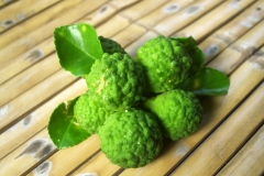 Bergamot