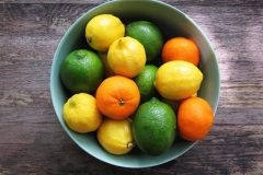 Citrus Fruit
