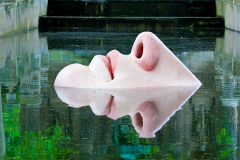 Nose Water Reflection