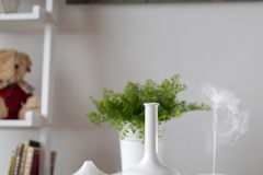 White Aroma diffuser