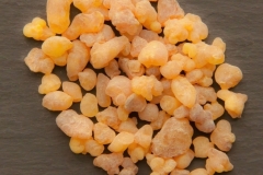 boswellia-frankincense