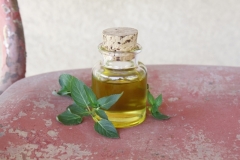 homemade-peppermint-infused-oil