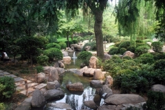 Peaceful Park
