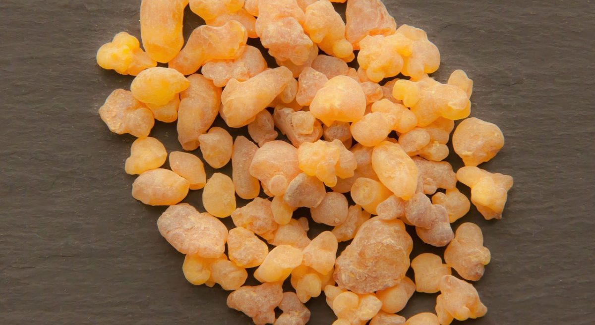 Frankincense – The Essential Oil that started it all